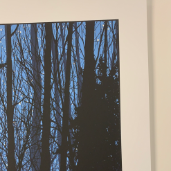 A Night In The Forest - 2010 Dan McCarthy Poster Art Print 11 A Night In The Forest - 2010 Dan McCarthy Poster Art Print