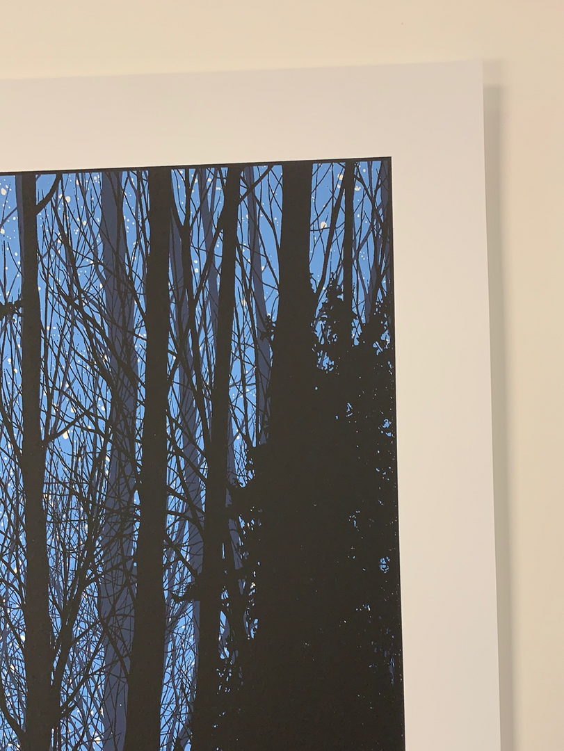 A Night In The Forest - 2010 Dan McCarthy Poster Art Print 6 A Night In The Forest - 2010 Dan McCarthy Poster Art Print