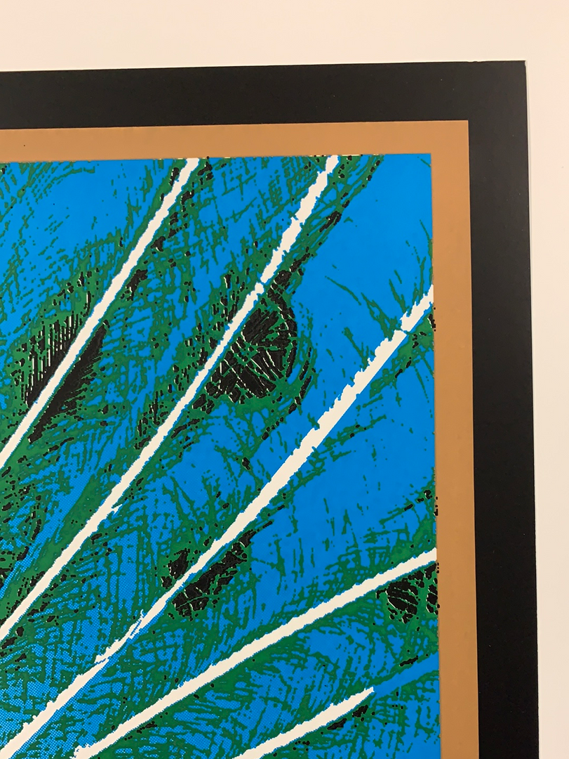 Northwest String Summit - 2006 Brian Langeliers Poster Plains, OR Horning's Hideout Gig Posters 6 Northwest String Summit - 2006 Brian Langeliers Poster Plains, OR Horning's Hideout Gig Posters