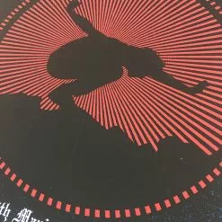 Eddie Vedder - 2009 Ryan Immegart Poster Maui, HI Castle Theater Honolulu, HI Ha