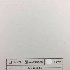 Jack White - 2014 Matthew Jacobson Poster Chicago, IL The Auditorium Theatre