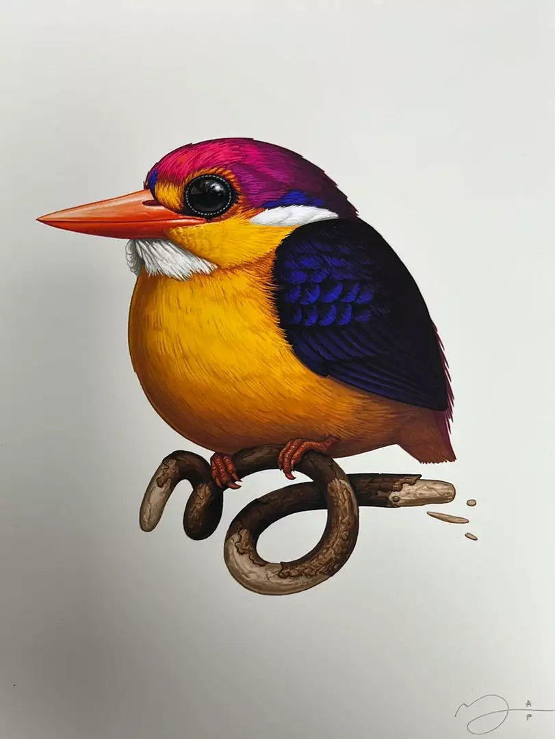 Fat Bird - 2020 Mike Mitchell Poster Rufous-Backed Dwarf Kingfisher AP Art Prints 3 Fat Bird - 2020 Mike Mitchell Poster Rufous-Backed Dwarf Kingfisher AP Art Prints