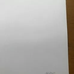 Art Prints Long Deserved - 2008 Mike Budai Poster Art Print