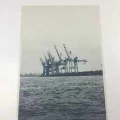 Cranes - 2011 Dan MacAdam Crosshair Poster Art Print Art Prints