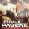 Sold Out Posters Boxing - 2018 Poster Bivol Vs Pascal