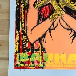 Colorado Nine Inch Nails - 2006 Lindsey Kuhn Poster Red Rocks Morrison, CO