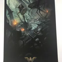 No Man's Land Wonder Woman - Robin Har Poster Art Print Movie/TV Posters