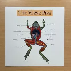 Sold Out Posters The Verve Pipe - 1999 Original Vinyl Poster Insert 12x12 Record Art