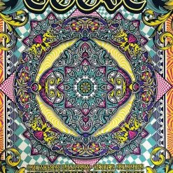 AJ Masthay Goose - 2021 Lex Leaming Poster Denver, CO Mission Ballroom