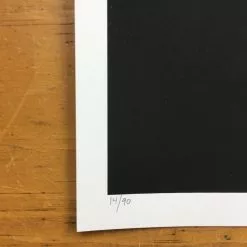 Flatstock 9 - 2006 Daniel Danger Poster Chicago, IL Union Park