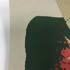 The Disco Biscuits - 2009 Todd Slater Poster Chicago, IL Congress Theater