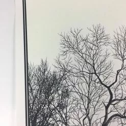 Wish You Were Here - 2011 Dan McCarthy Poster Art Print Art Prints