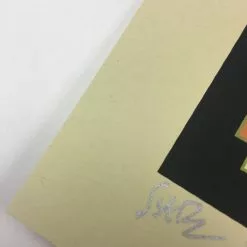 Raleigh St. Clair - 2011 Todd Slater Poster Art Print