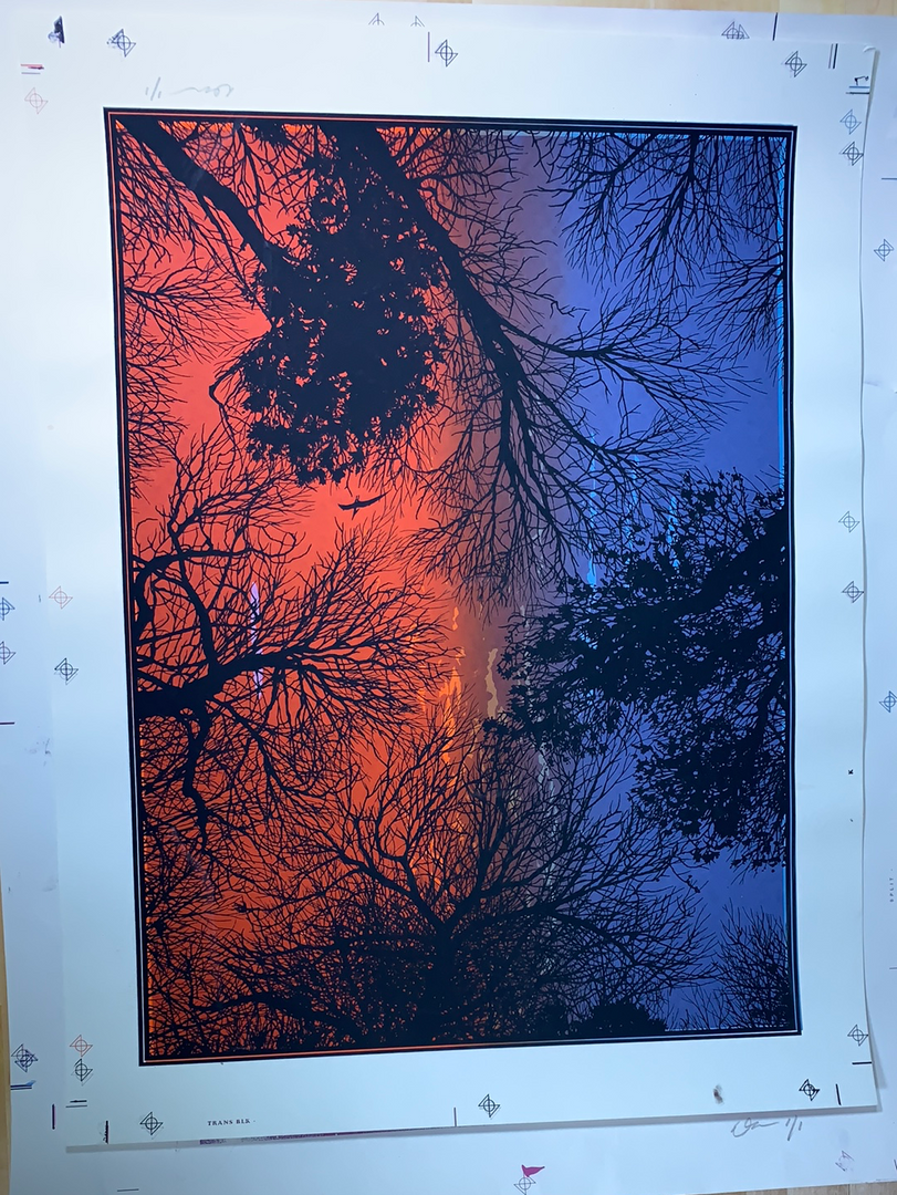 Test Print 3 Pack - Dan McCarthy Posters Art Prints White Tree Woods Jurrasic 1/1 6 Test Print 3 Pack - Dan McCarthy Posters Art Prints White Tree Woods Jurrasic 1/1