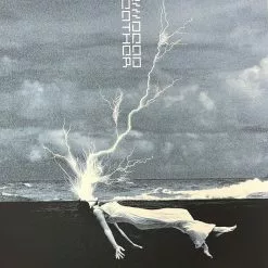 The Dead Weather - 2010 Rob Jones Poster Chicago, IL Congress Theater