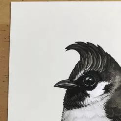 Fat Bird - 2017 Mike Mitchell Poster Himalayan Bulbul Art Prints 11 Fat Bird - 2017 Mike Mitchell Poster Himalayan Bulbul Art Prints