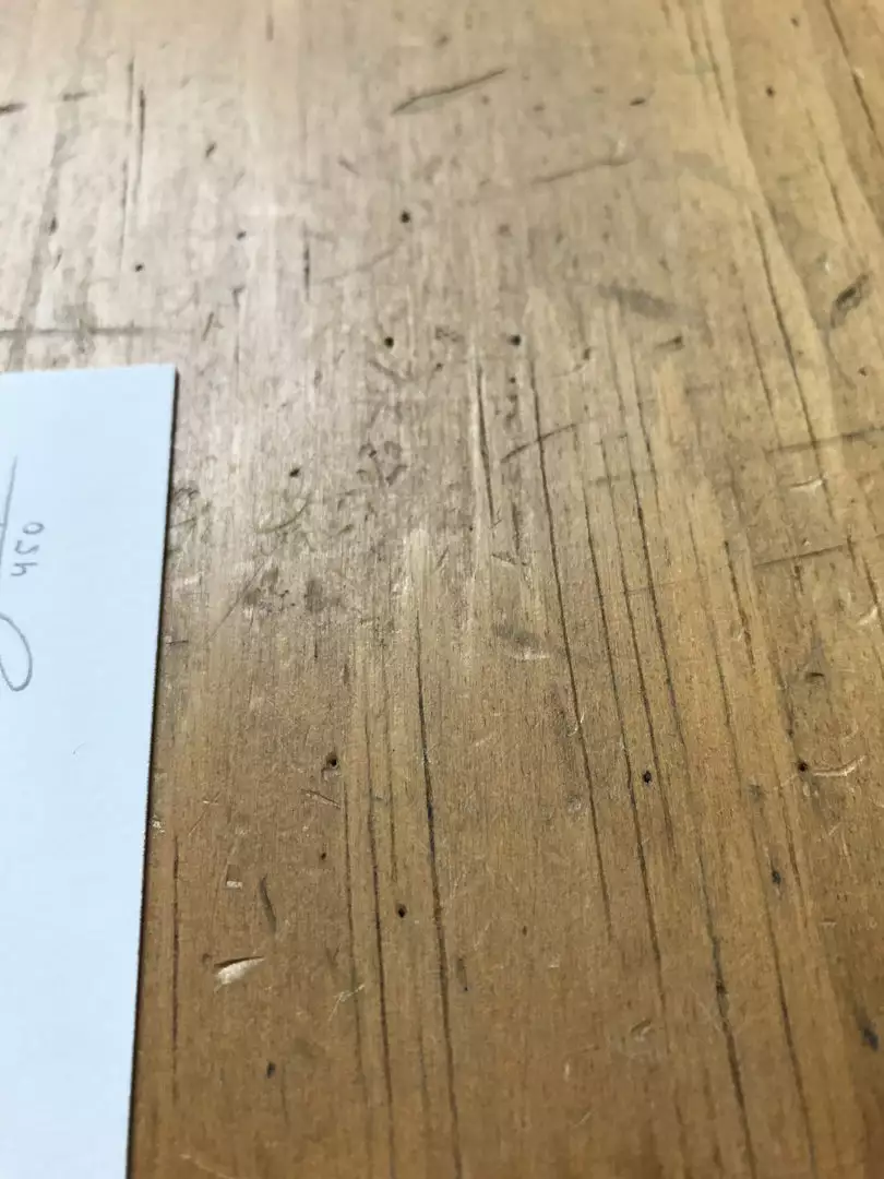 Fat Bird - 2017 Mike Mitchell Poster Himalayan Bulbul Art Prints 8 Fat Bird - 2017 Mike Mitchell Poster Himalayan Bulbul Art Prints