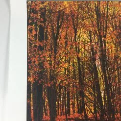 Art Prints Elder Days - 2010 Dan McCarthy Poster Art Print