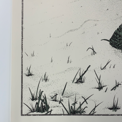 Colorado Yonder Mountain String Band - 2013 Neal Williams Poster Aspen, CO