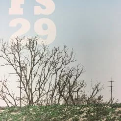 Flatstock 29 - 2011 Dan MacAdam Crosshair Poster Austin, TX Austin Convention Ce Gig Posters