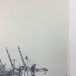 Cranes - 2011 Dan MacAdam Crosshair Poster Art Print Art Prints