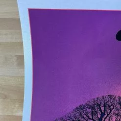 Black Pumas - 2021 EMEK Poster Portland, OR Roseland Theatre Gig Posters