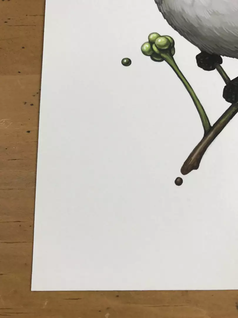 Fat Bird - 2017 Mike Mitchell Poster Himalayan Bulbul Art Prints 9 Fat Bird - 2017 Mike Mitchell Poster Himalayan Bulbul Art Prints