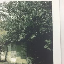 The Vaselines - 2009 Dan MacAdam Crosshair Poster Chicago, IL Metro