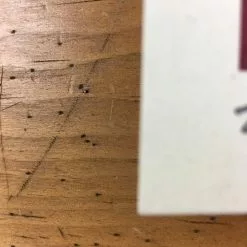 Tom Petty - 2017 Dan Stiles Poster S/N Oklahoma City, OK 40th Anniversary Tour