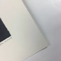 Summit - 2012 Justin Santora Poster Art Print