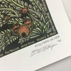 Gig Posters Wakarusa - 2008 EMEK Poster Lawrence, KS Clinton Lake Park