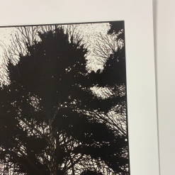 Art Prints What Once Was 2 - 2010 Dan McCarthy Poster Art Print