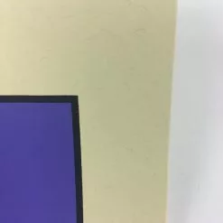 Raleigh St. Clair - 2011 Todd Slater Poster Art Print