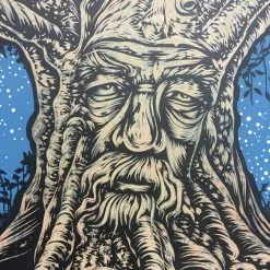 Avett Brothers - 2019 Todd Slater Poster Ames, IA Iowa State Center