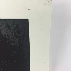 The Dead Weather - 2009 Todd Slater Poster Austin City Limits, TX Zilker Park