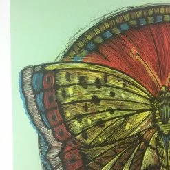 Wooden Resurrection Butterfly - 2013 Dan Grzeca Poster Art Print Art Prints