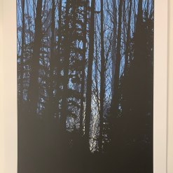 A Night In The Forest - 2010 Dan McCarthy Poster Art Print