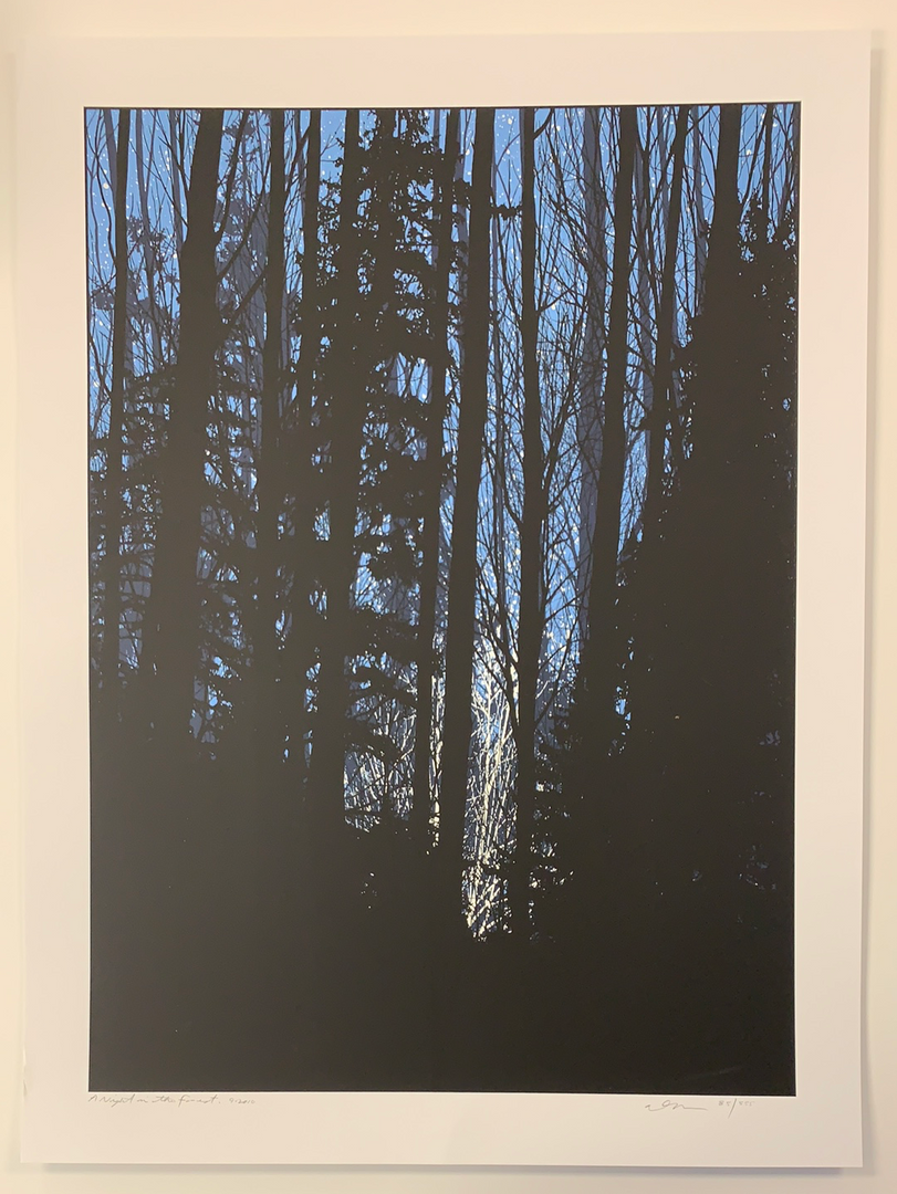 A Night In The Forest - 2010 Dan McCarthy Poster Art Print 4 A Night In The Forest - 2010 Dan McCarthy Poster Art Print