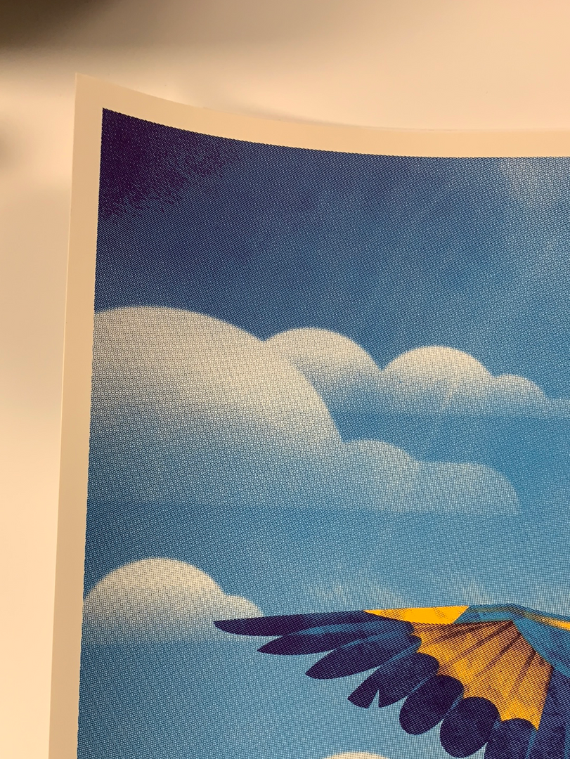 Phish - 2015 DKNG Poster Companion Art Print 3rd Edition 5 Phish - 2015 DKNG Poster Companion Art Print 3rd Edition