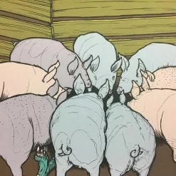 Art Prints Mr Wu's Pigs - 2010 Jay Ryan Poster Pig Print