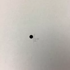 Urban Corvus - 2009 Dan Grzeca Poster Art Print Asphalt Grey Art Prints