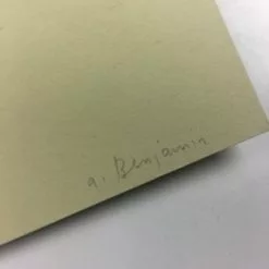 I Scream, We Scream - 2015 Anne Benjamin Poster Art Print Art Prints