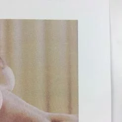 Art Prints Untitled (Bear Boobs) - 2008 Mike Budai Poster Art Print