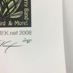 Gig Posters Wakarusa - 2008 EMEK Poster Lawrence, KS Clinton Lake Park