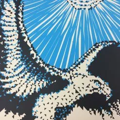 Gig Posters The Mountain Goats, John Vanderslice, Tallest Man On Earth - 2009 Todd Slater Po