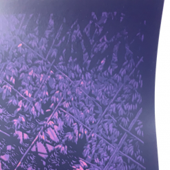 The Beacon Jams Ghosts Of The Forest - 2020 Daniel Danger Poster Trey Anastasio