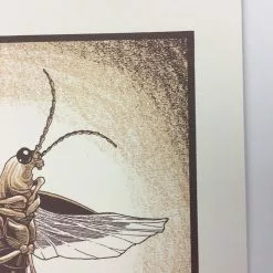 Common Firefly (Photinus Pyralis) - 2015 Justin Santora Poster Art Print