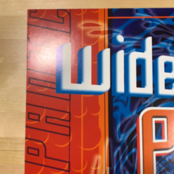 Widespread Panic - 2001 Jason Clements Poster Larkspur, CO Field Of Dreams