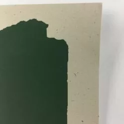 The Disco Biscuits - 2009 Todd Slater Poster Chicago, IL Congress Theater