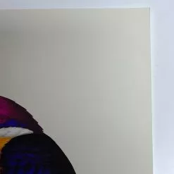 Fat Bird - 2020 Mike Mitchell Poster Rufous-Backed Dwarf Kingfisher AP Art Prints 11 Fat Bird - 2020 Mike Mitchell Poster Rufous-Backed Dwarf Kingfisher AP Art Prints